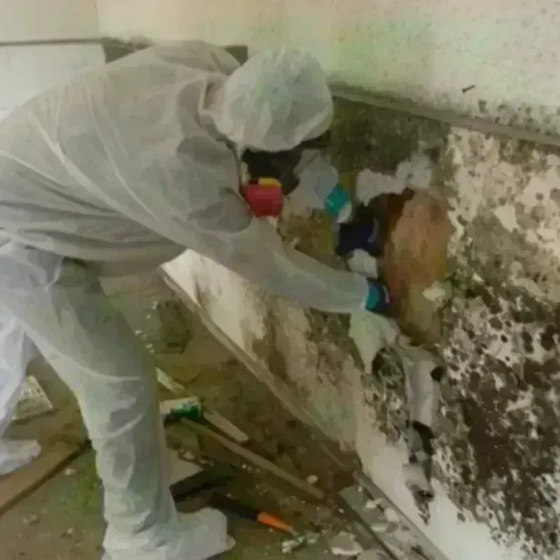 Mold Remediation and Removal in Grissom Air Force Base, IN